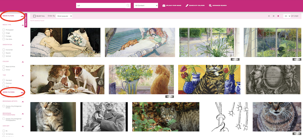 New Filters on Bridgeman Images search results page