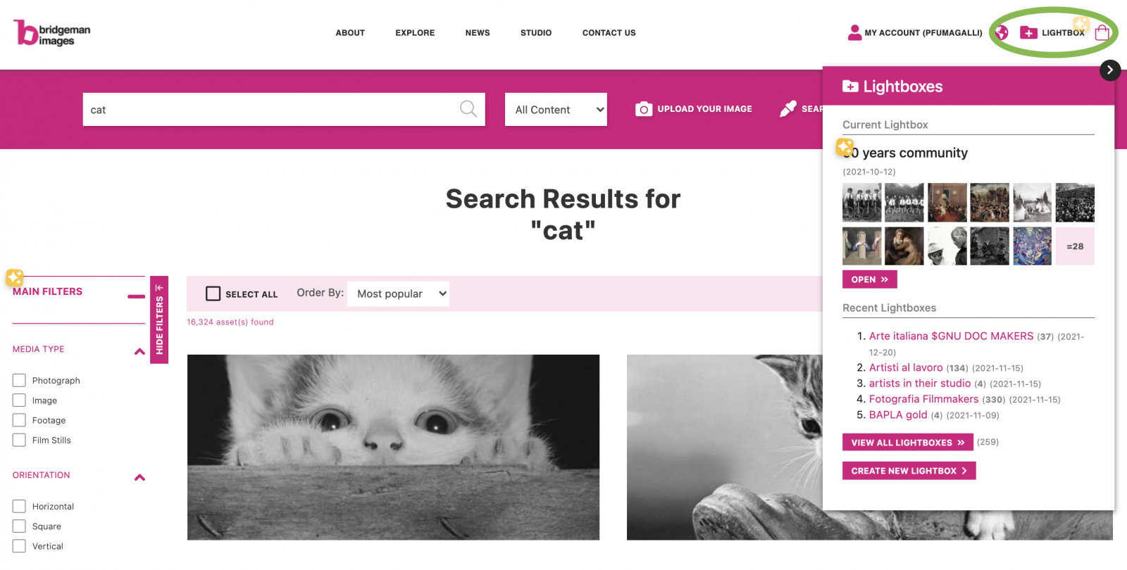How to access lightboxes while searching on bridgemanimages.com