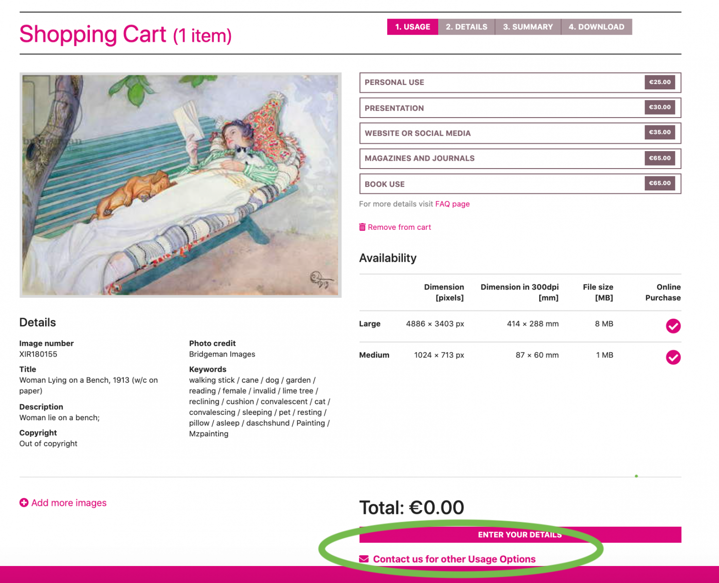 If how you want to use the image isn't listed as an option, please click Contact us to discuss other usage options.