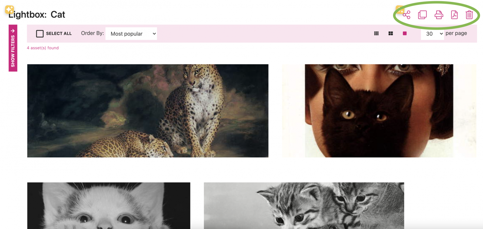 Lightbox options