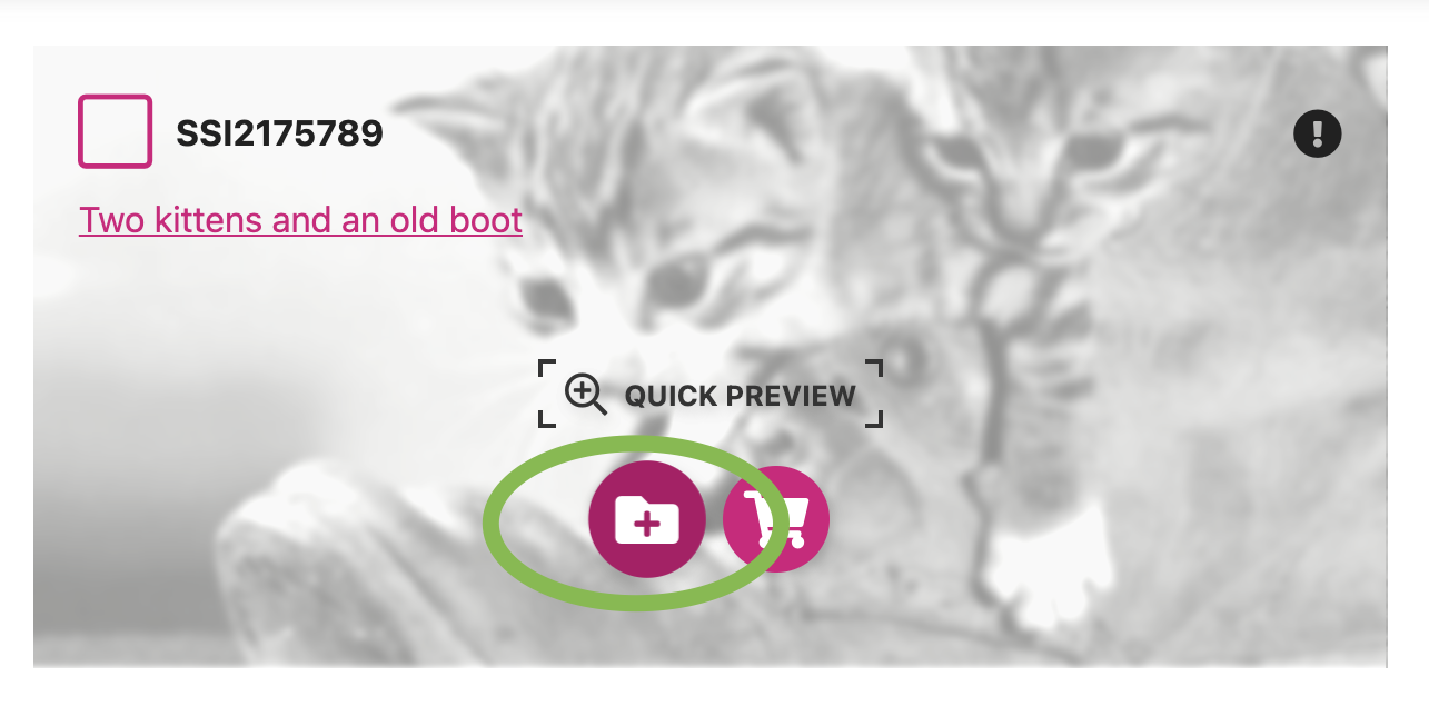 lightbox icon on the asset