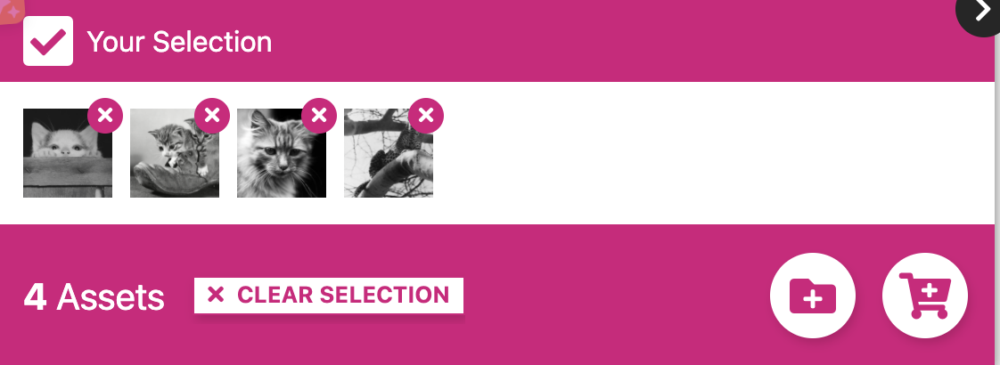 Options menu available on bridgemanimages.com search results page